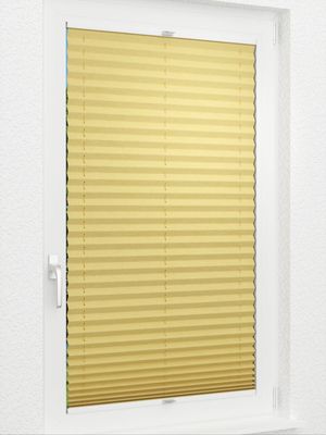 Preview Plissee Crush 2021.1905 2