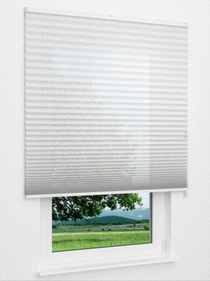 Preview Plissee Fern White 5601.5043 3