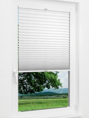 Preview Plissee Glossy Line SC 5601.3316 1