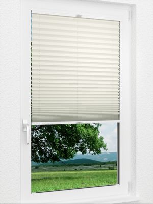 Preview Plissee Krepp B1 1001.0160 1