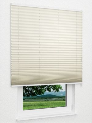 Preview Plissee Krepp B1 1001.0160 3