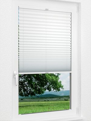 Preview Plissee Krepp B1 1009.0161 1