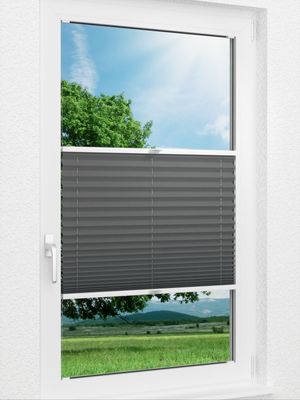 Preview Plissee Krepp B1 1009.0163 0