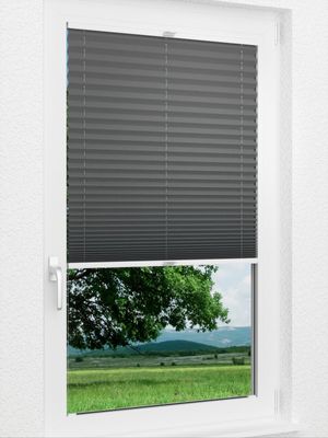 Preview Plissee Krepp B1 1009.0163 1