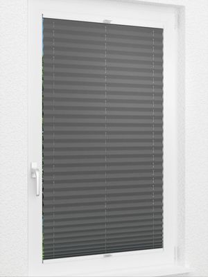 Preview Plissee Krepp B1 1009.0163 2