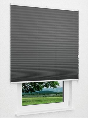 Preview Plissee Krepp B1 1009.0163 3