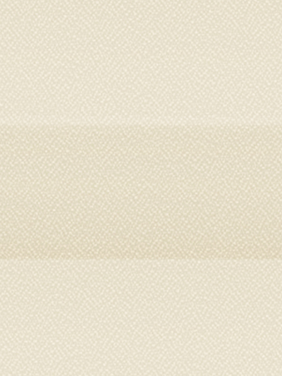 Plissee Krepp B1 1001.0160 Detailansicht