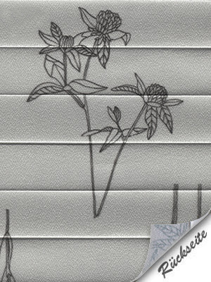 Preview Plissee Gray-Meadow 3409.8553 5
