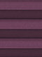 Intense Colors 43.723