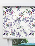 Albaldah 102765L Fensteransicht