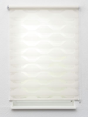 Preview Biesenthal 12.892e 2