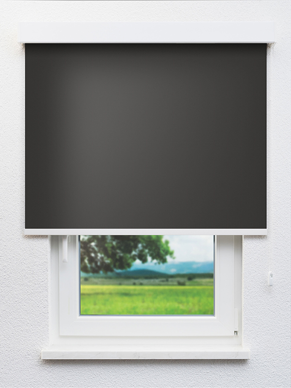 Detailansicht Asterope 802645L