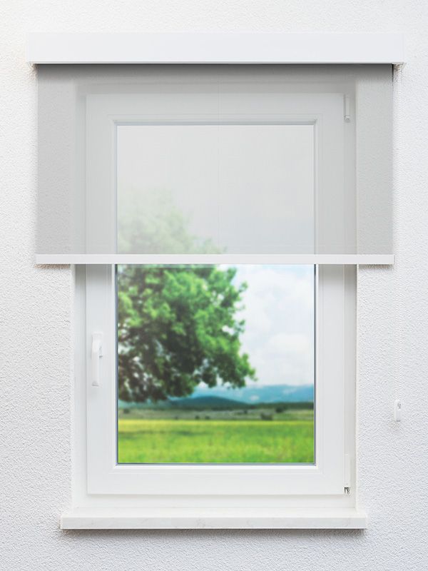 Detailansicht Franzburg 00.306e