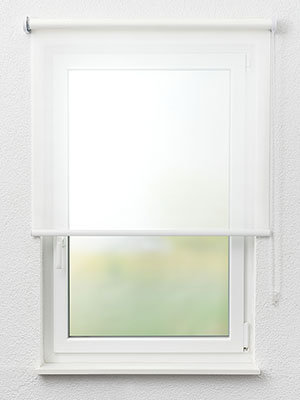 Calbe 12.010e Fensteransicht