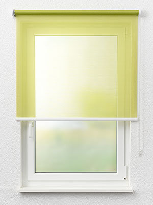 Calbe 59.010e Fensteransicht