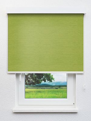 Dargun 40.951e Fensteransicht