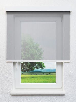 Dassel 00.161e Fensteransicht