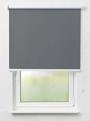 Daun 30.302e Fensteransicht