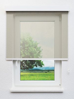 Demmin 31.822e Fensteransicht