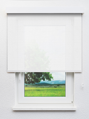 Capella 102514L Fensteransicht