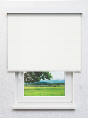 Alterf BO 102536L Fensteransicht