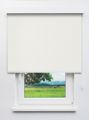 Alschain BO 202538L Fensteransicht