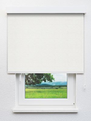 Alphard 102547L Fensteransicht