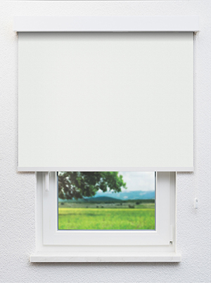 Alamak 102562L Fensteransicht