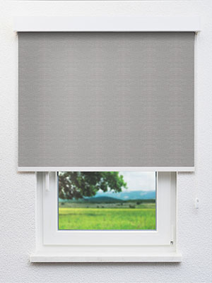 Alkione 802592L Fensteransicht