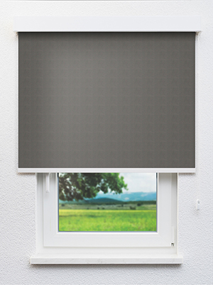 Alula BO 202593L Fensteransicht