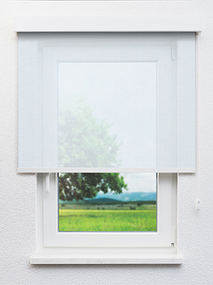 Atlas 802595L Fensteransicht