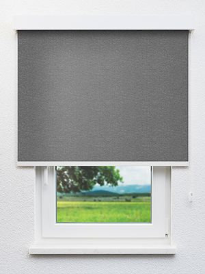 Alphard 802616L Fensteransicht