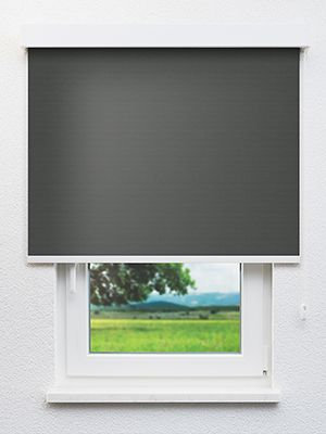 Alnitak 802630L Fensteransicht