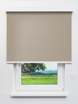 Brachium 702730L Fensteransicht