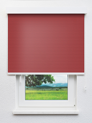 Alula 402755L Fensteransicht