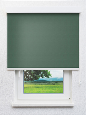 Alnitak BO 602791L Fensteransicht