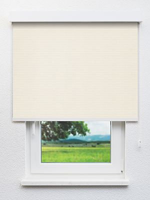 Realta 202812L Fensteransicht