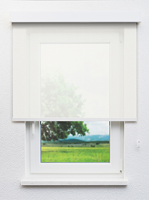 Realta 102819L Fensteransicht