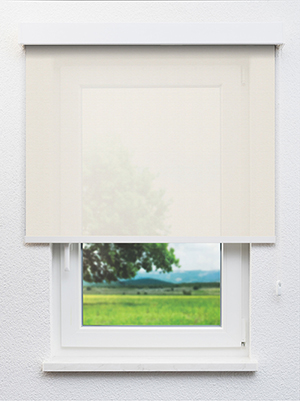 Realta 202820L Fensteransicht