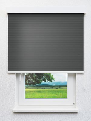 Realta 802824L Fensteransicht