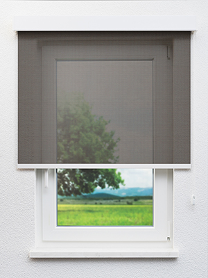 Realta 702826L Fensteransicht