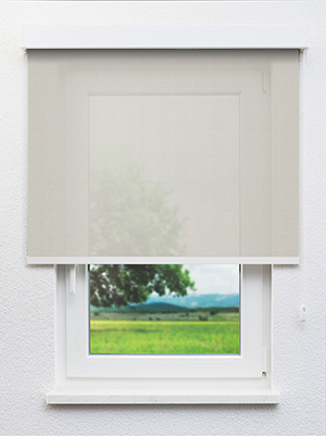 Realta 702829L Fensteransicht