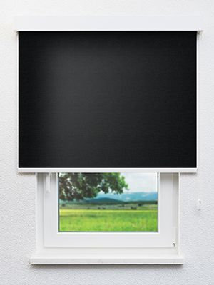 Realta 802833L Fensteransicht