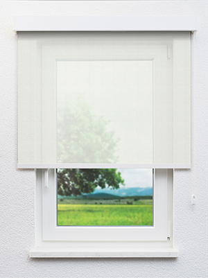 Algenib 102839L Fensteransicht