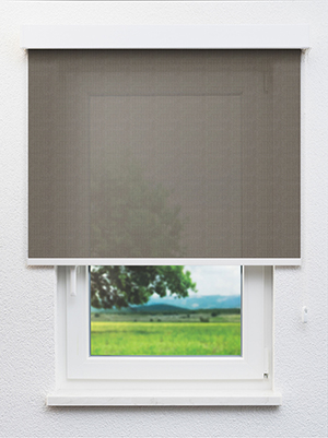 Algenib 702849L Fensteransicht