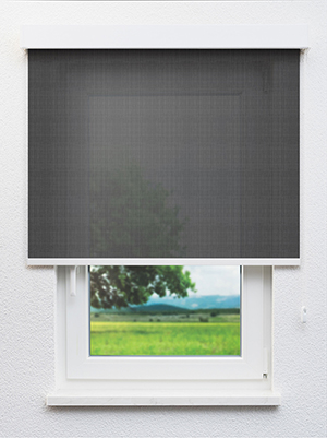 Algedi 802850L Fensteransicht