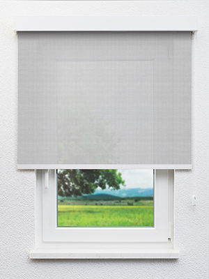 Adhara 102860L Fensteransicht