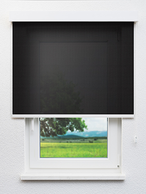 Adhara 802862L Fensteransicht