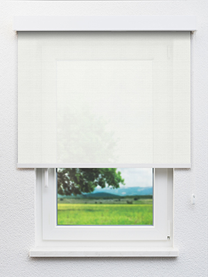 Ceginus 102863L Fensteransicht