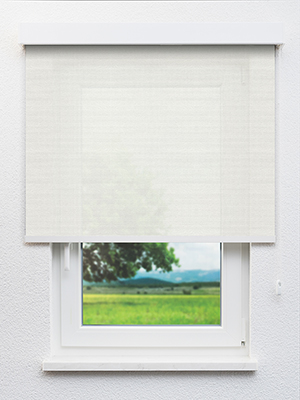 Ceginus 202864L Fensteransicht